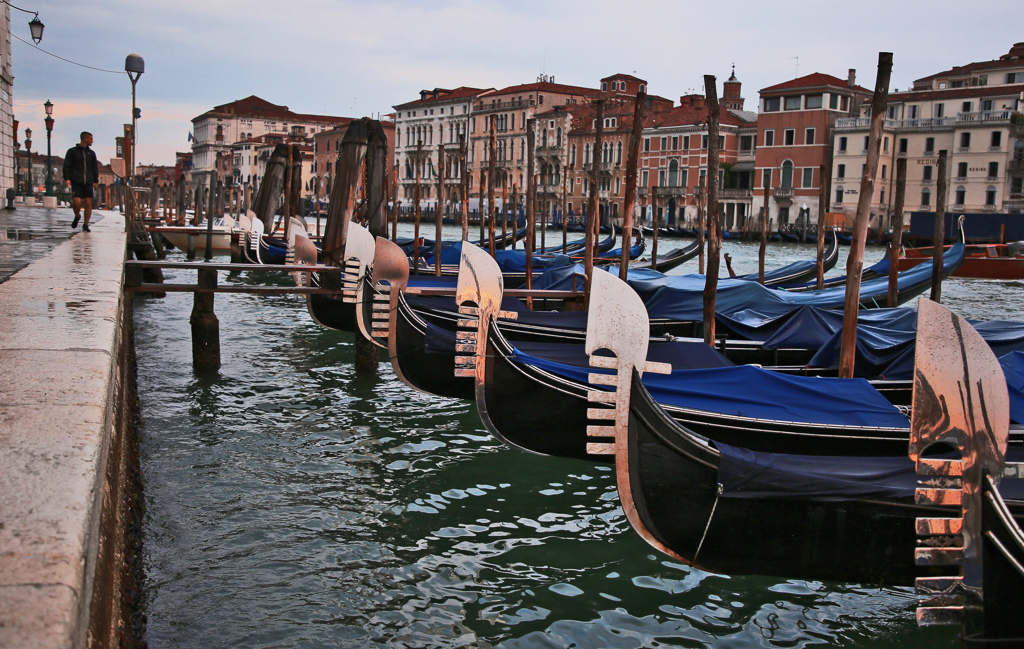 goodmorning venice