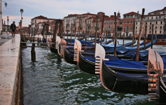 goodmorning venice