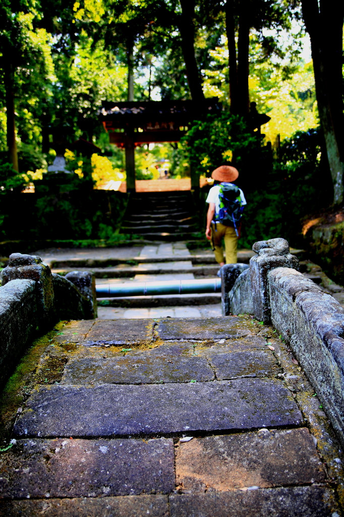 今も水清し！北鎌倉