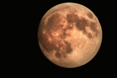 十五夜お月さま