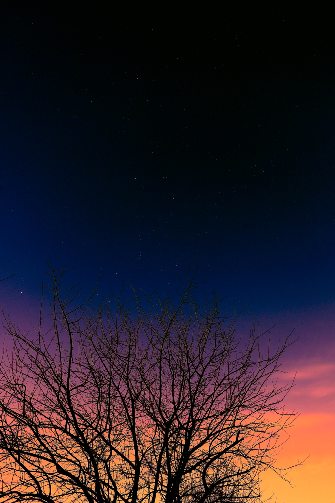 こんな色のパンツが欲しいです