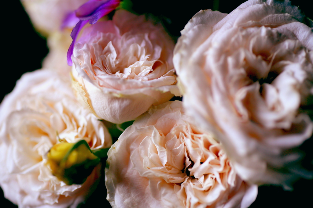 ギッシリ系デリケート