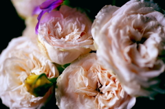 ギッシリ系デリケート