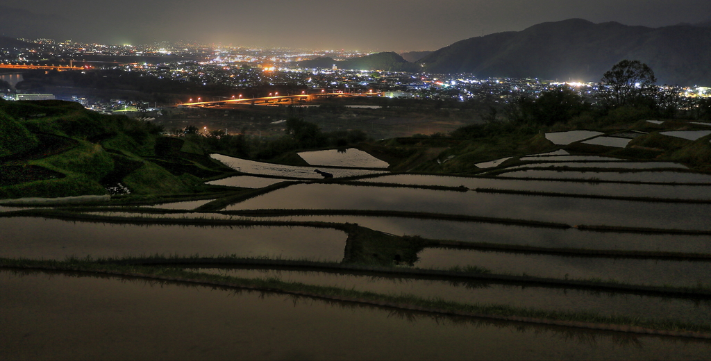 棚田水田ナイト