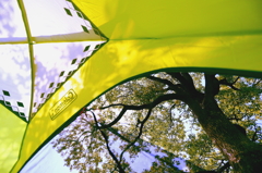 カラーシェルター