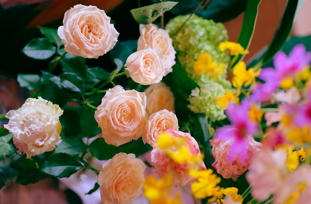 １週間目でもまだまだキレイだわ！