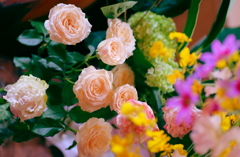 １週間目でもまだまだキレイだわ！