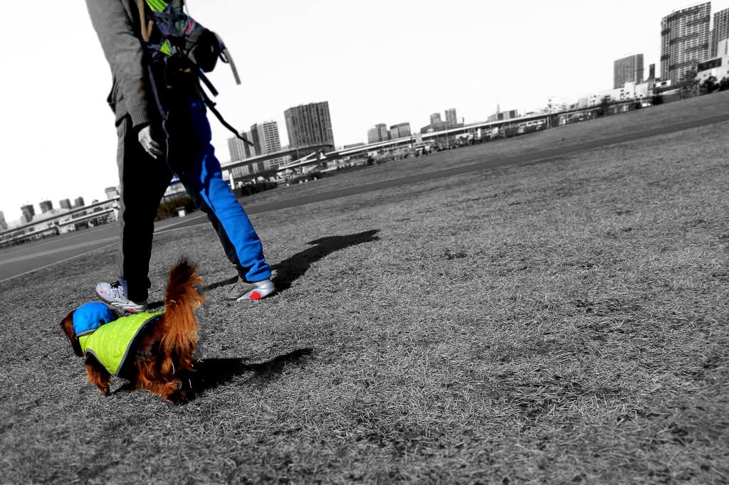 リハビリの成果有り！！