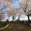 桜への貸切道