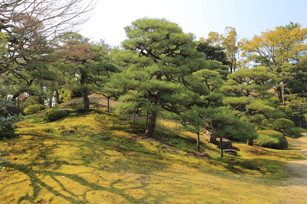 日本の美庭園