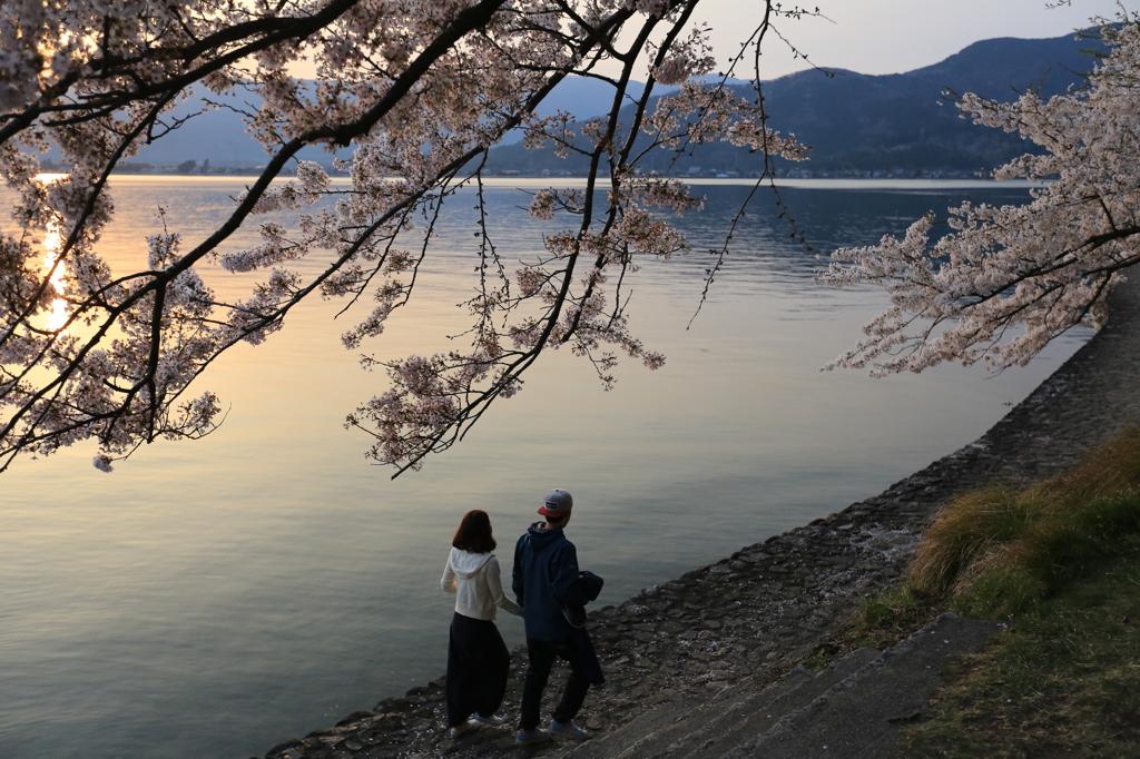 桜の下を手をつないで❤