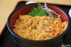 思い出のウニ丼