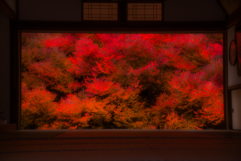 真紅に染まりゆく