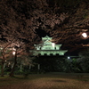 夜桜と長浜城 