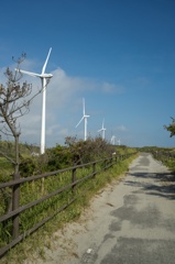Windmills lined