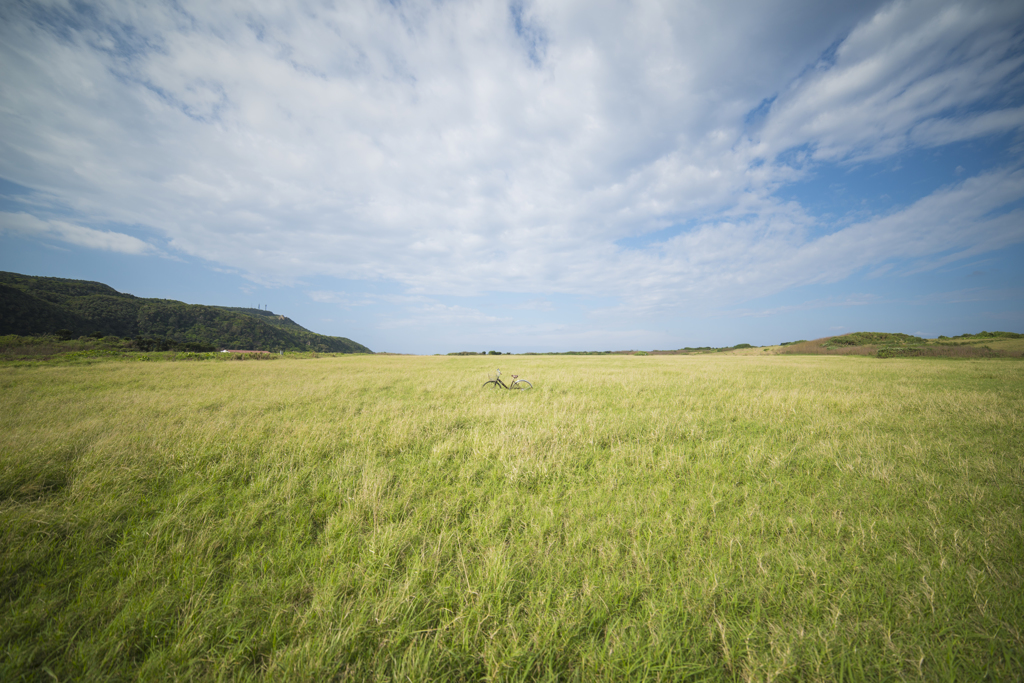 Island grassland