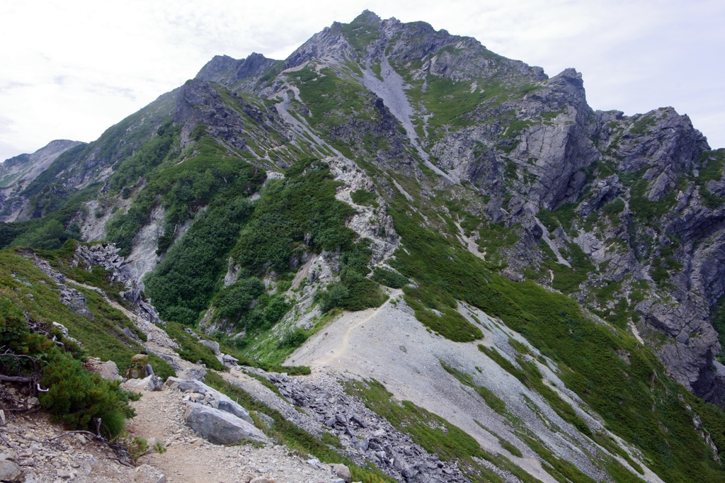 IMGP1576