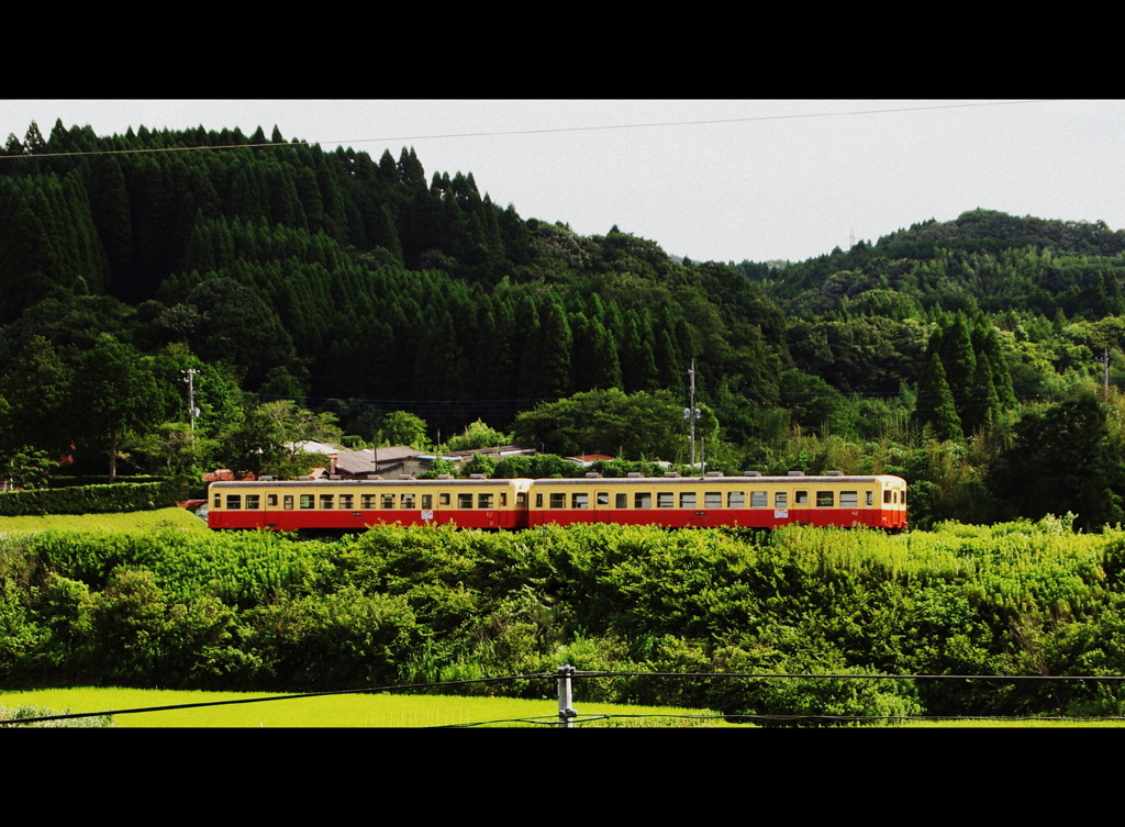 田園を走る