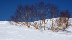 2016_0219谷川岳007