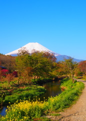 富士と小川と菜の花と