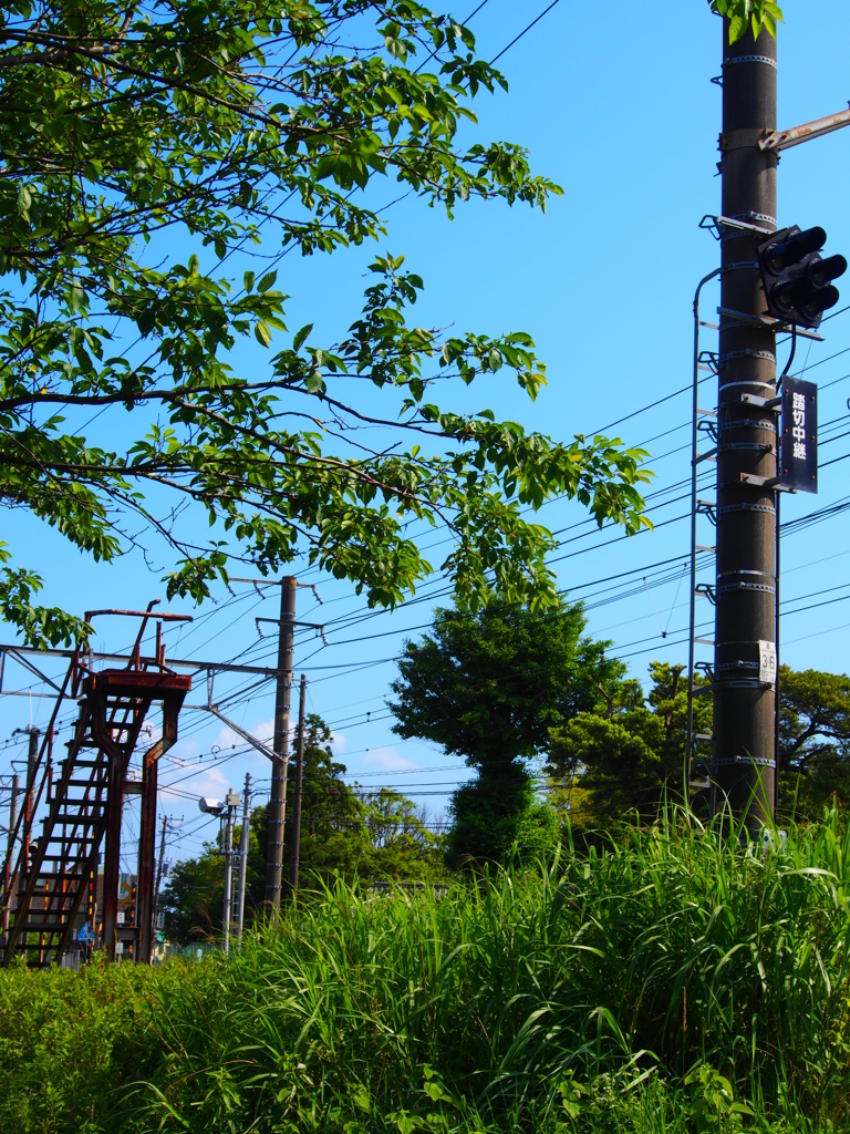 初夏の線路