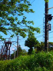 初夏の線路