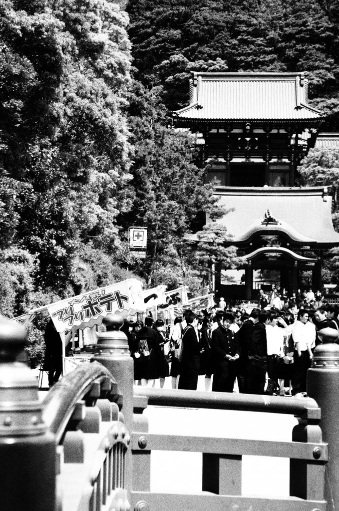 鶴岡八幡宮と修学旅行生