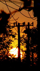 電柱と夕日