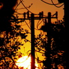 電柱と夕日