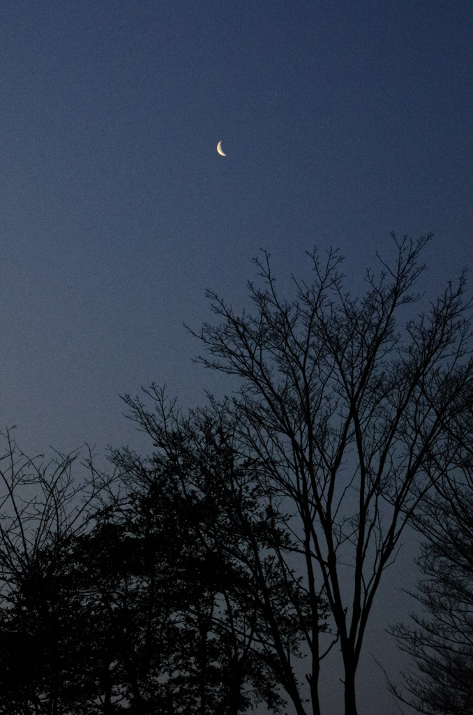 夜明け前の月