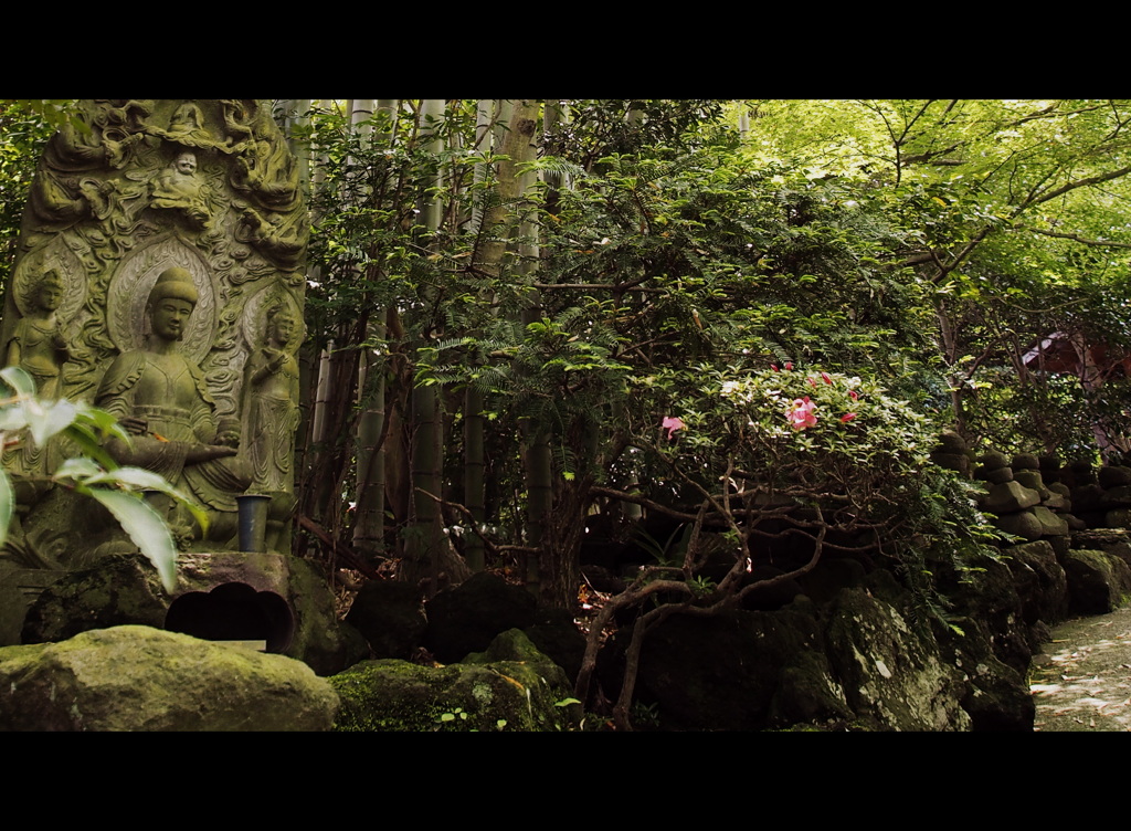 報国寺1