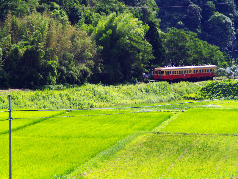 田園風景