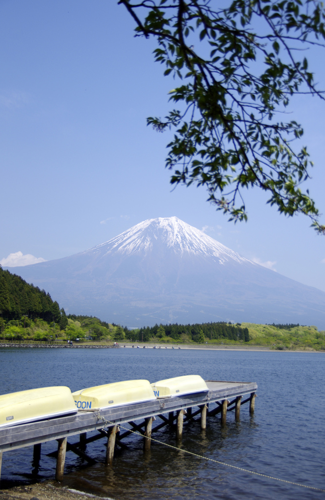 田貫湖と富士山