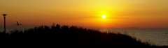 城ヶ島から望む日の出