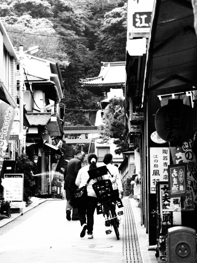 江の島の日常