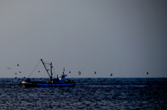 漁船と鳥群