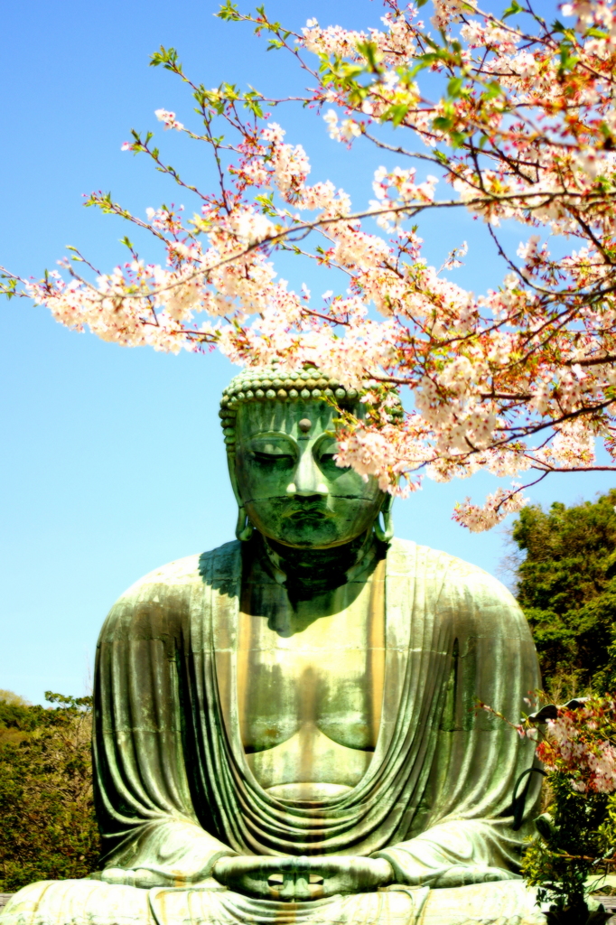 高徳院阿弥陀如来坐像