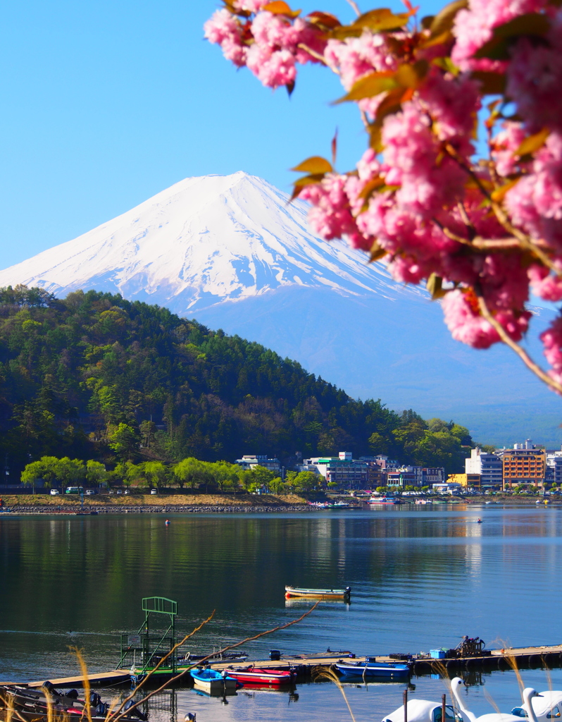 河口湖にて