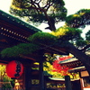 長谷寺