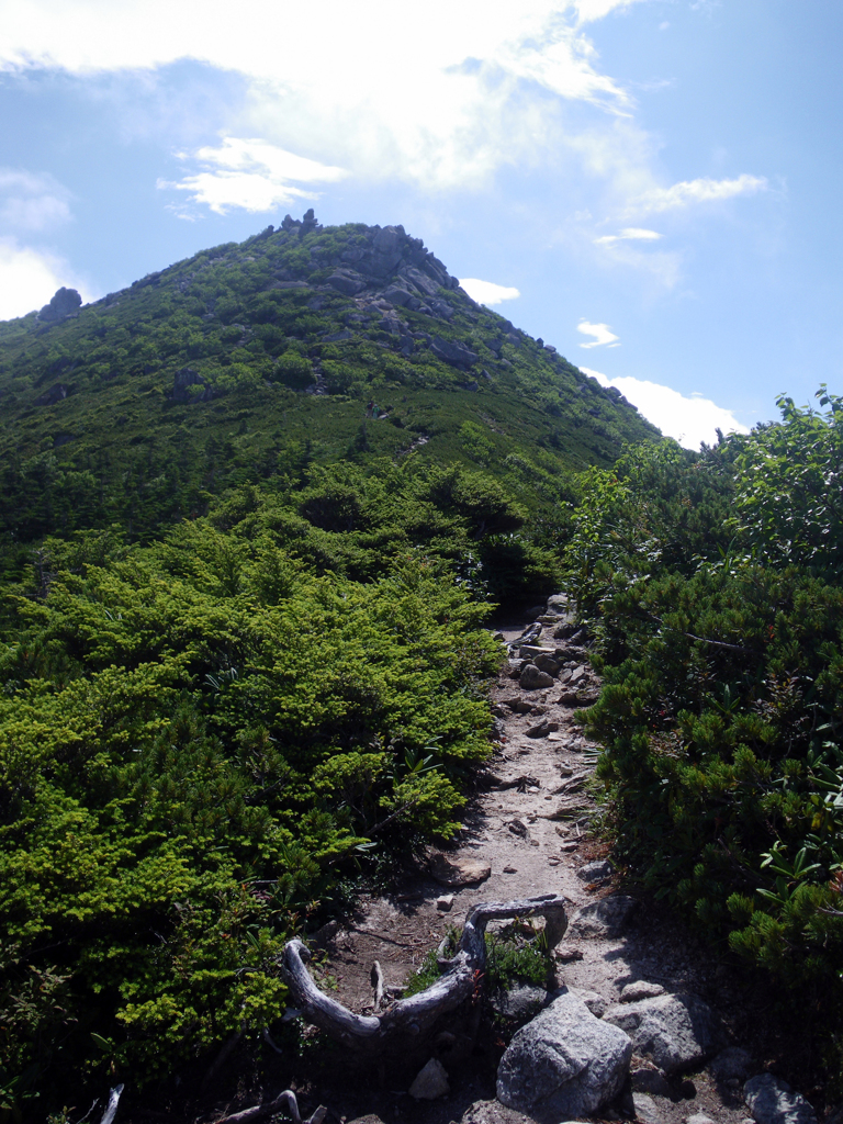 山頂へと続く道
