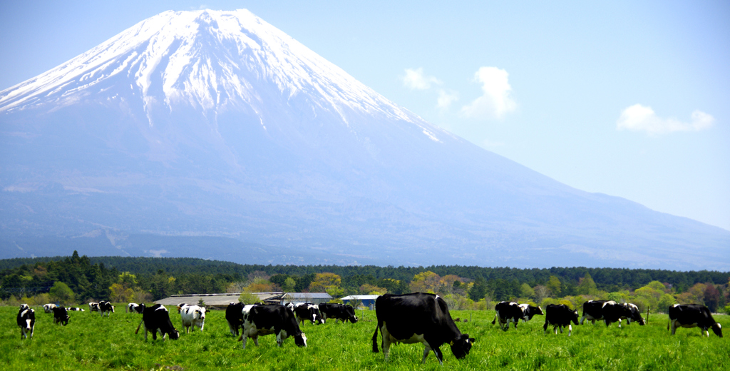 朝霧高原にて