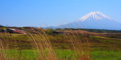 廃屋のある風景