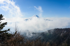 富士に逢いたくて　19