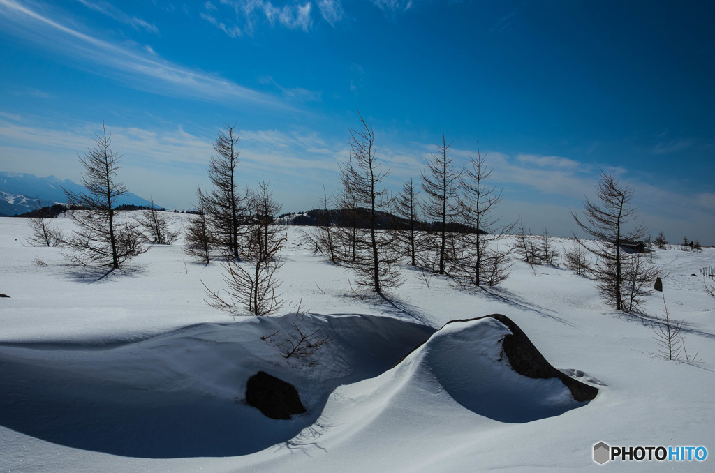 雪原