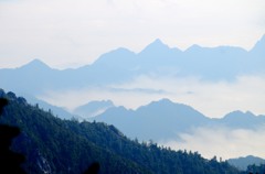 墨景