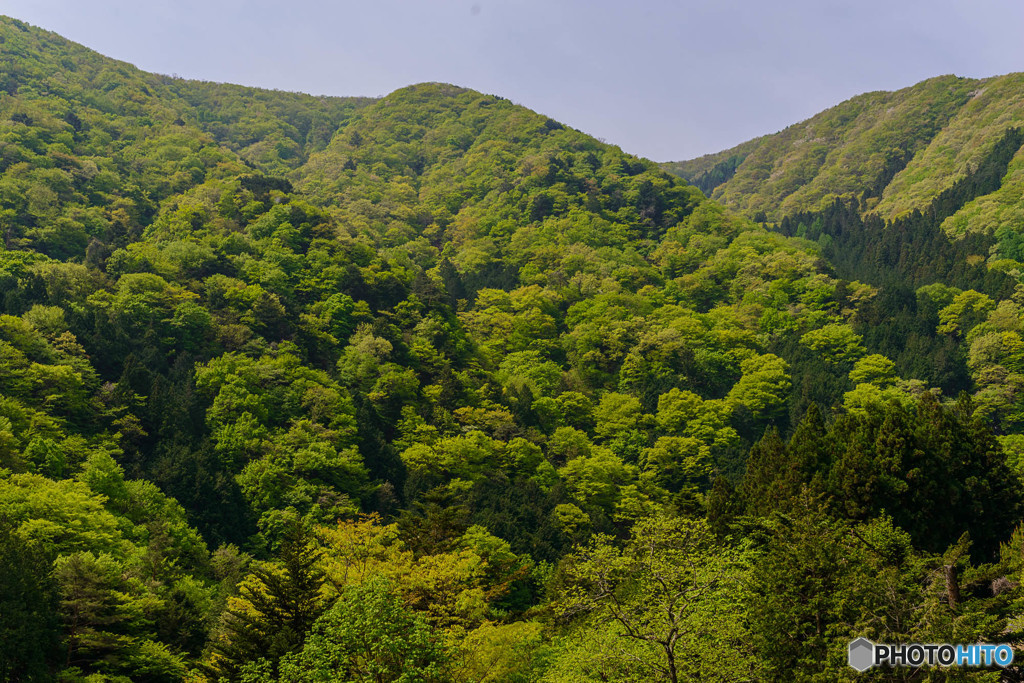 山滴る
