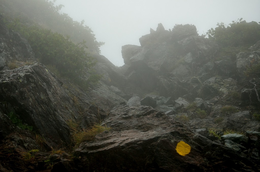 ペンキ　マーク