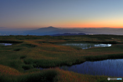 湿原黎明