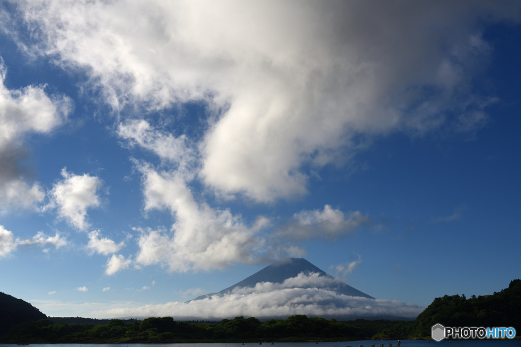 夏雲