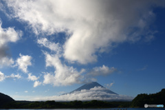 夏雲